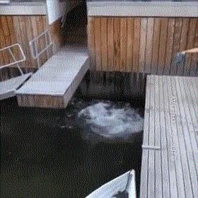 活着就是一场赌注,活着就是一场战斗歌曲