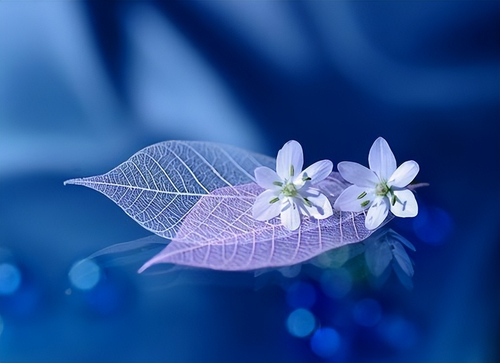 寻人不遇的经典诗句,寻隐者不遇经典诗句