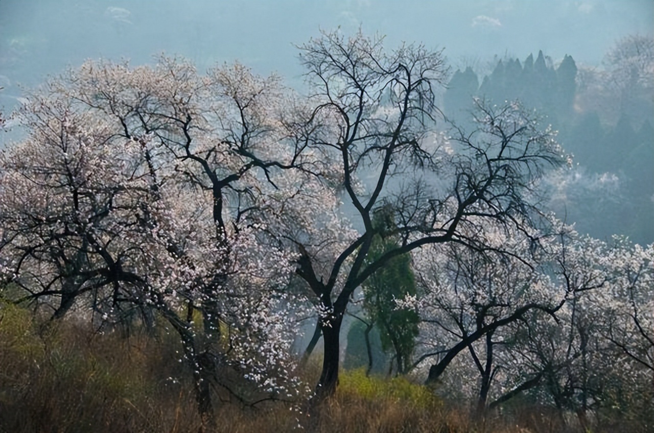 清明假期免费景点郑州周边,清明小长假适合去哪里玩郑州附近