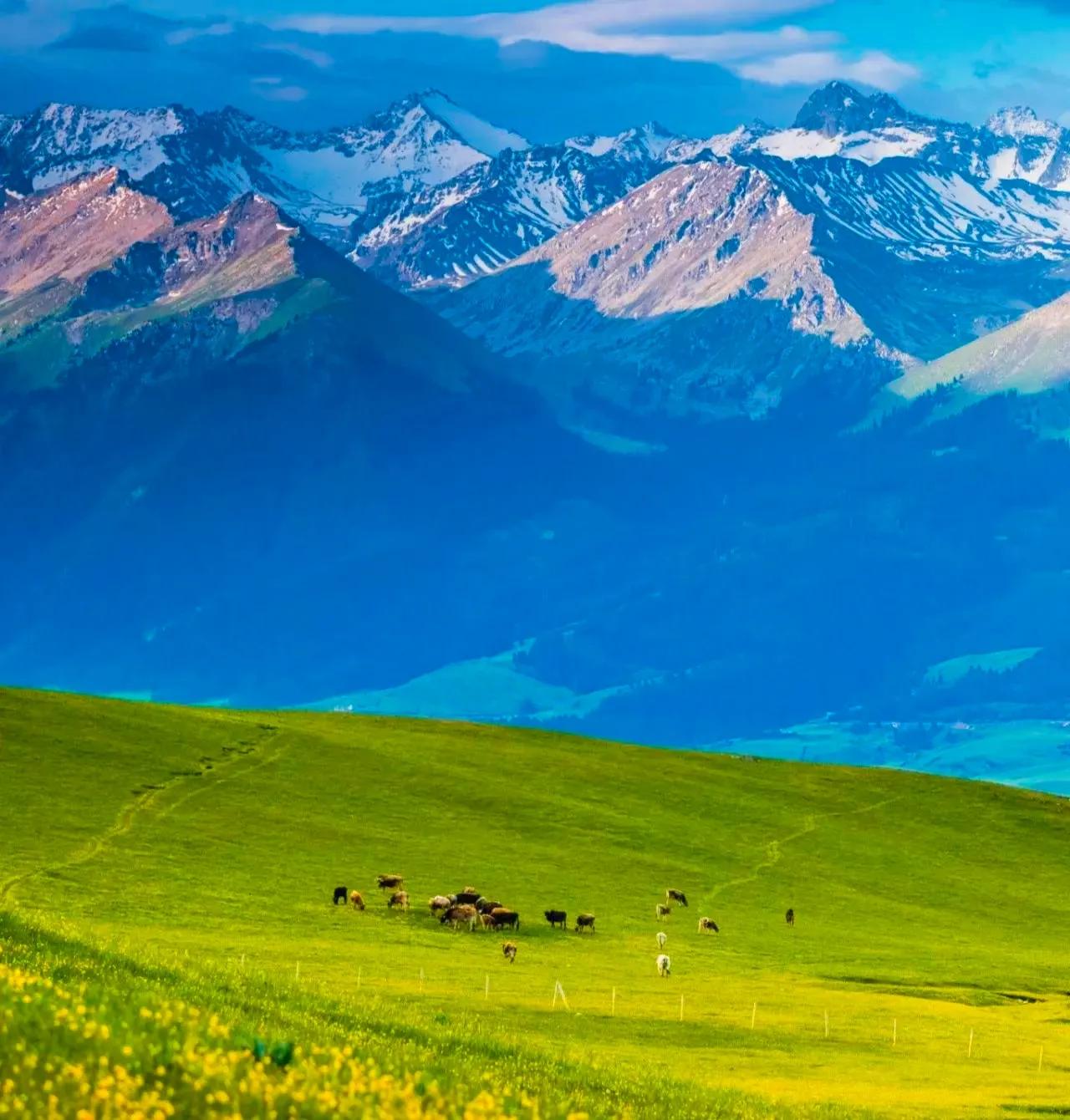 和大自然一起去旅行,和地理老师一起去旅行