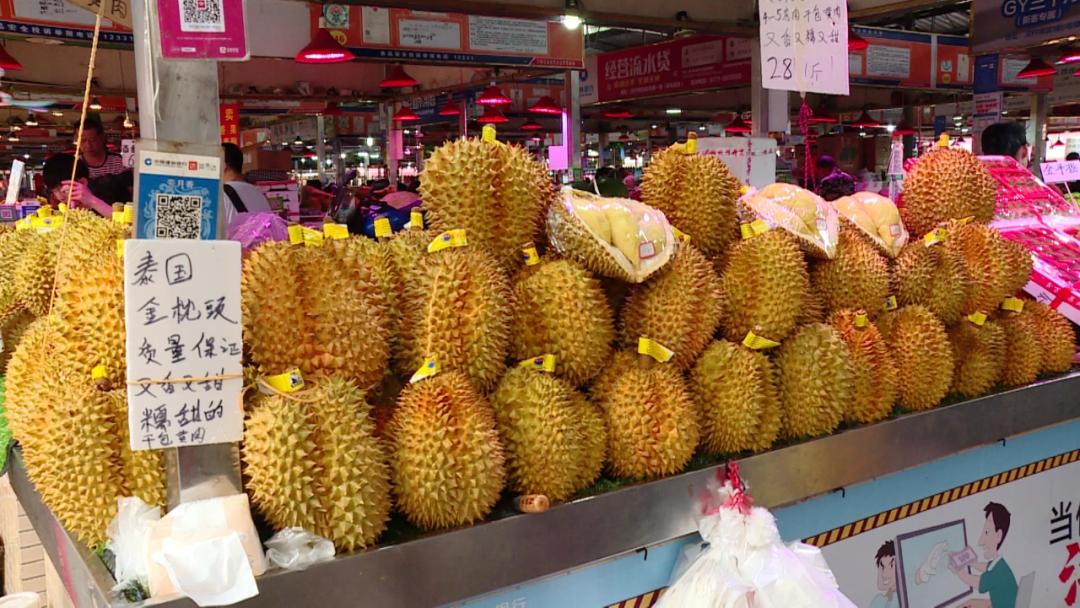 榴莲爱好者去果园,榴莲爱好者来打卡