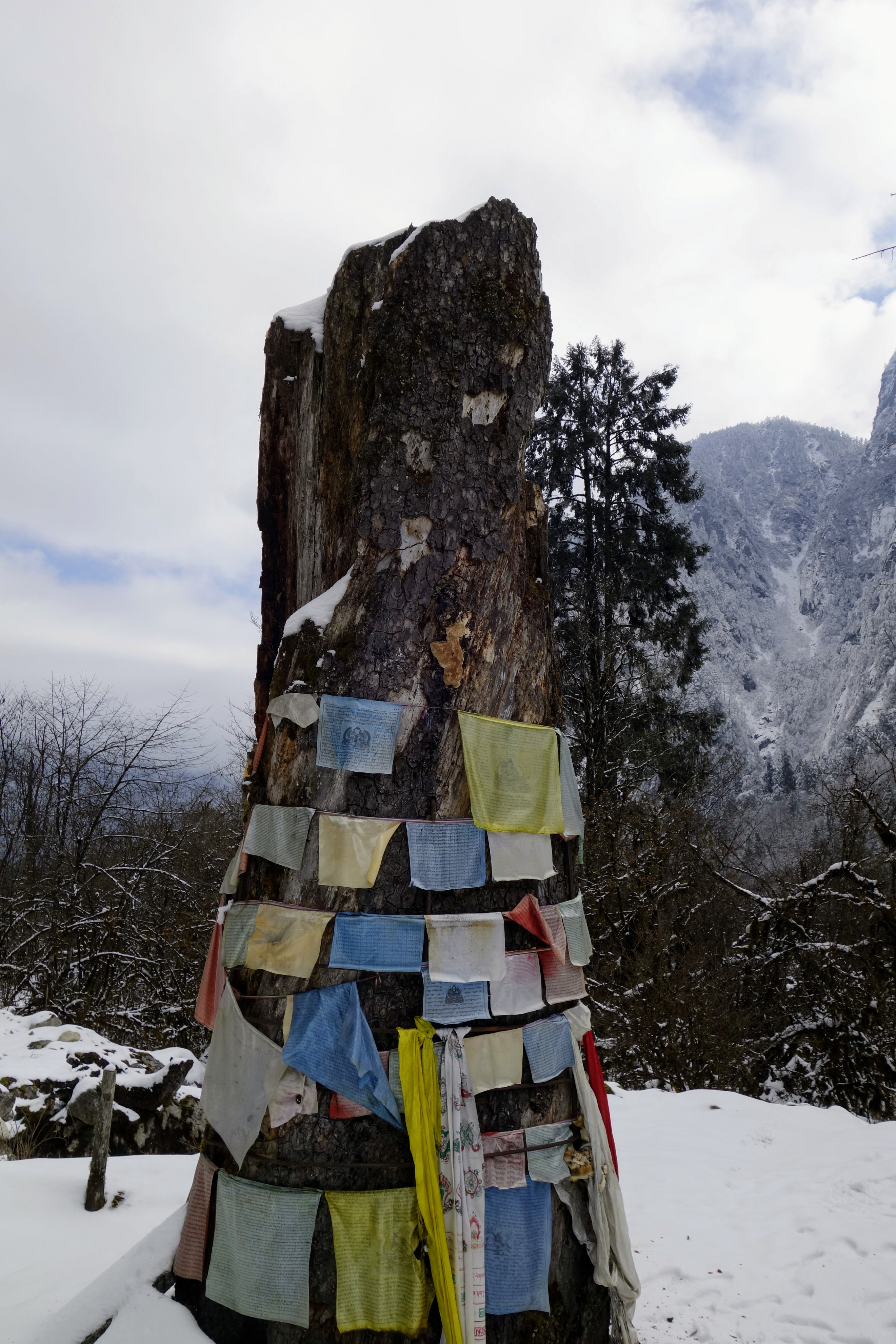 川西圣境游玩攻略,甘孜燕子沟攻略