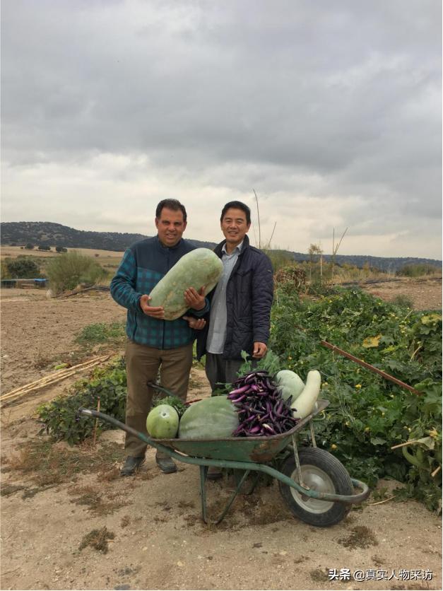 娓╁窞浜哄湪瑗跨彮鐗欏紑楗簵,娓╁窞浜哄湪瑗跨彮鐗欏仛鐢熸剰
