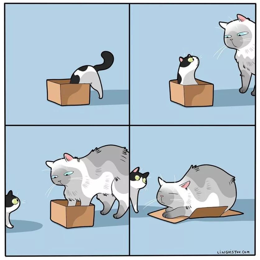 喵星人的那些事儿铲屎官漫画,猫咪铲屎官日常漫图