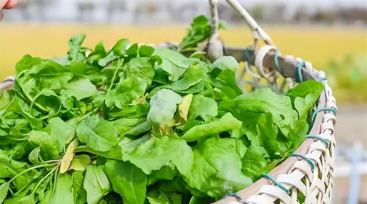 过故人庄孟浩然古诗赏析简单,诗词欣赏孟浩然过故人庄