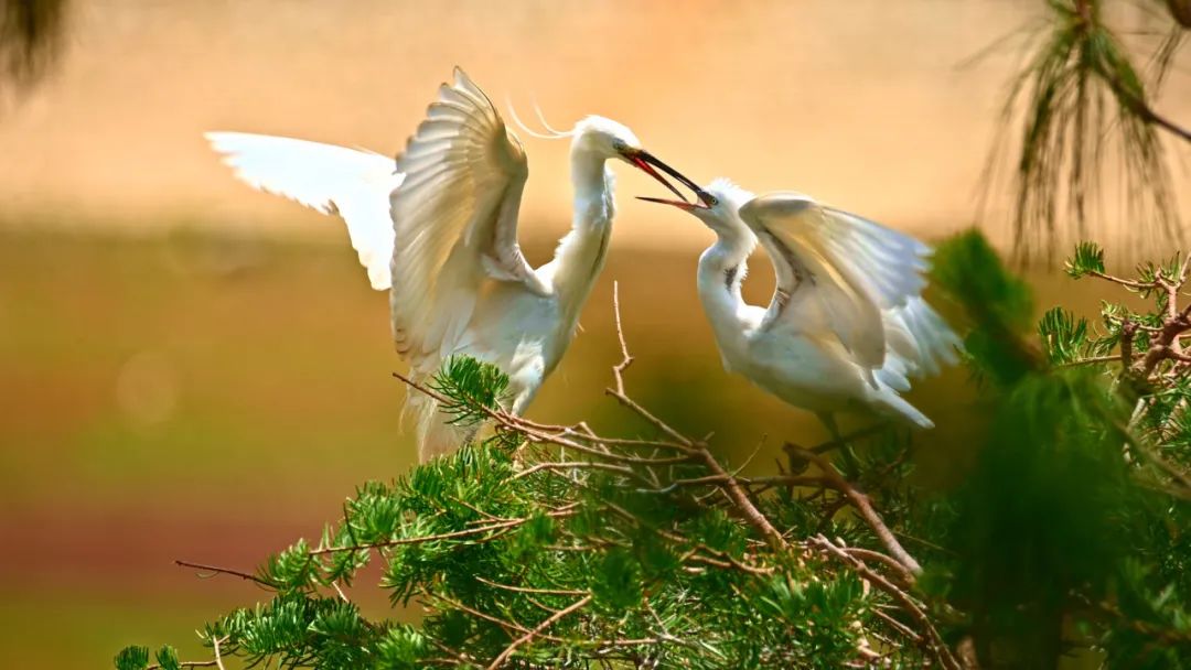 昆明七彩云南怎么样,七彩云南避暑家园