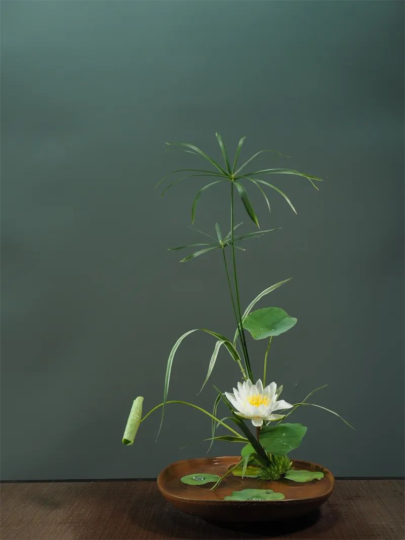 日本顶级禅意插花荷花,日式荷花插花