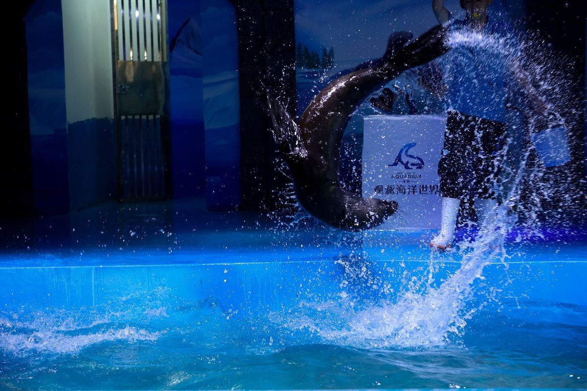 深圳观澜亲子游十大排行榜,深圳周边儿童好玩的海洋世界推荐