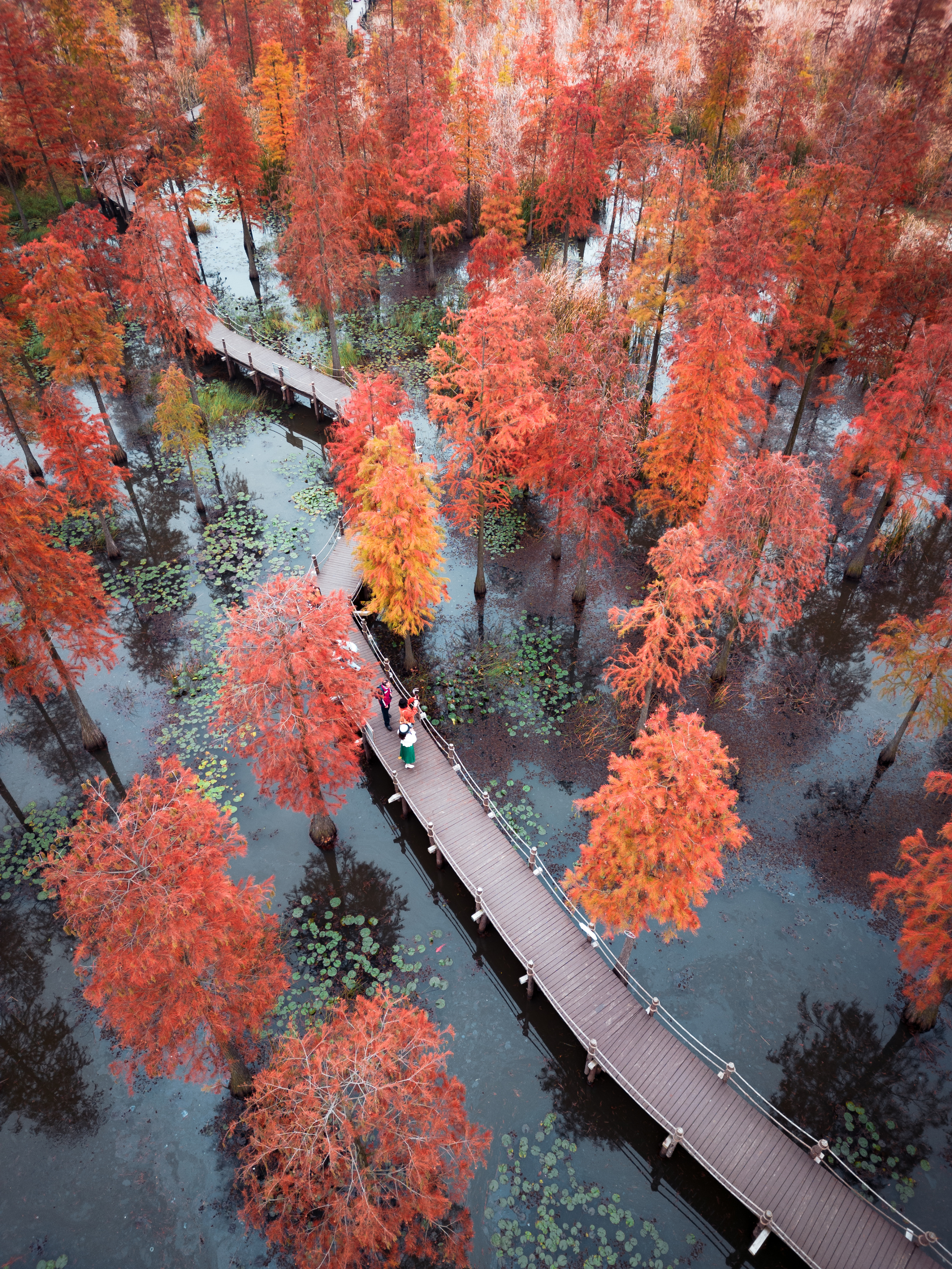 苏浙皖赣的旅游景点有多少,苏皖旅游景点推荐