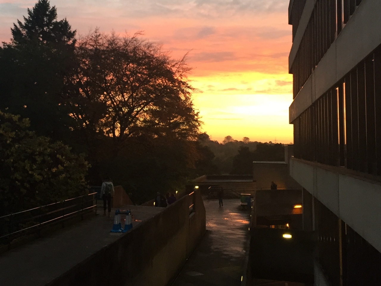 英国东英吉利大学怎么样,东英吉利大学世界大学