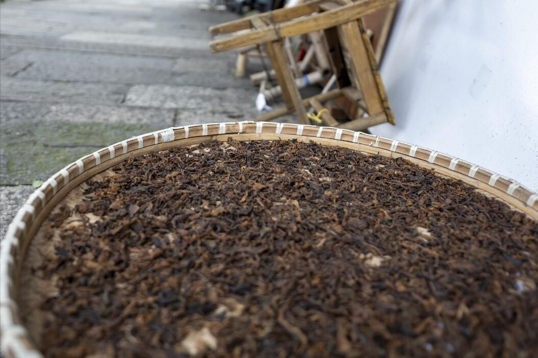 自制作梅干菜的三蒸三晒法,自制梅干菜三蒸三晒的做法