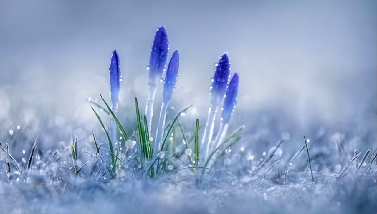 轻生是一种逃避没勇气要面对,轻生之人有什么样的勇气才会轻生