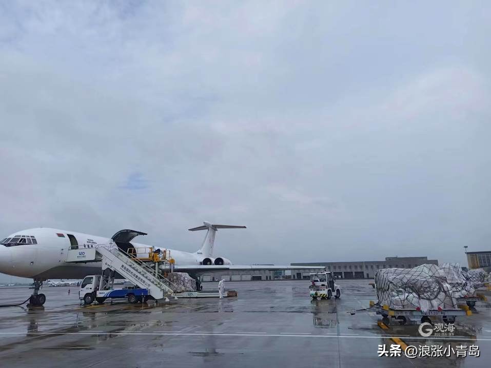 全国排名上升2位！强健“货运之翼”，青岛机场高飞远飞