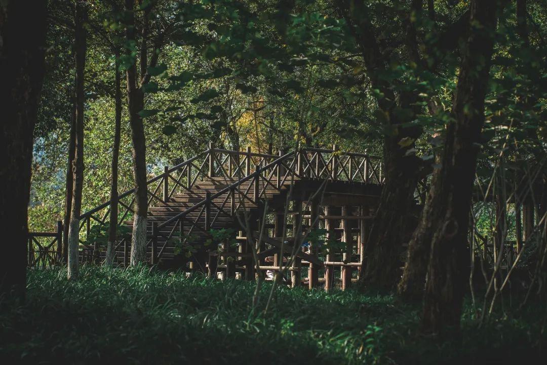 江浙沪8大五星级度假酒店任选,杭州度假高端酒店推荐