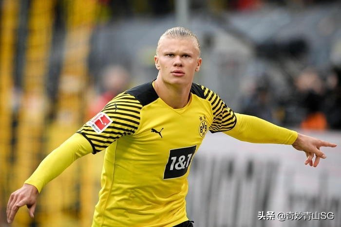 未来之星选手名字,未来之星球员的一天