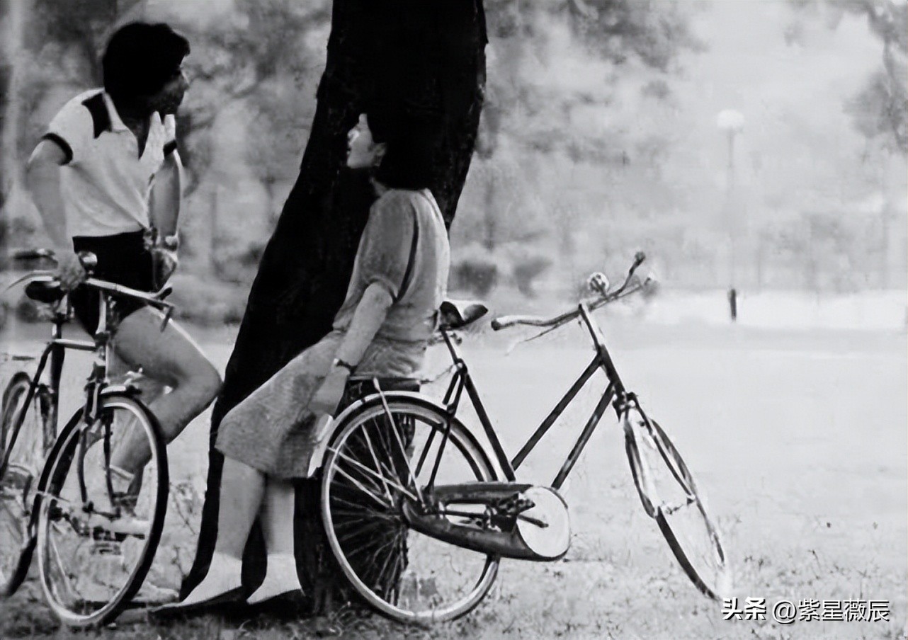 凤凰牌自行车1980年多少钱,五十年代凤凰自行车价格