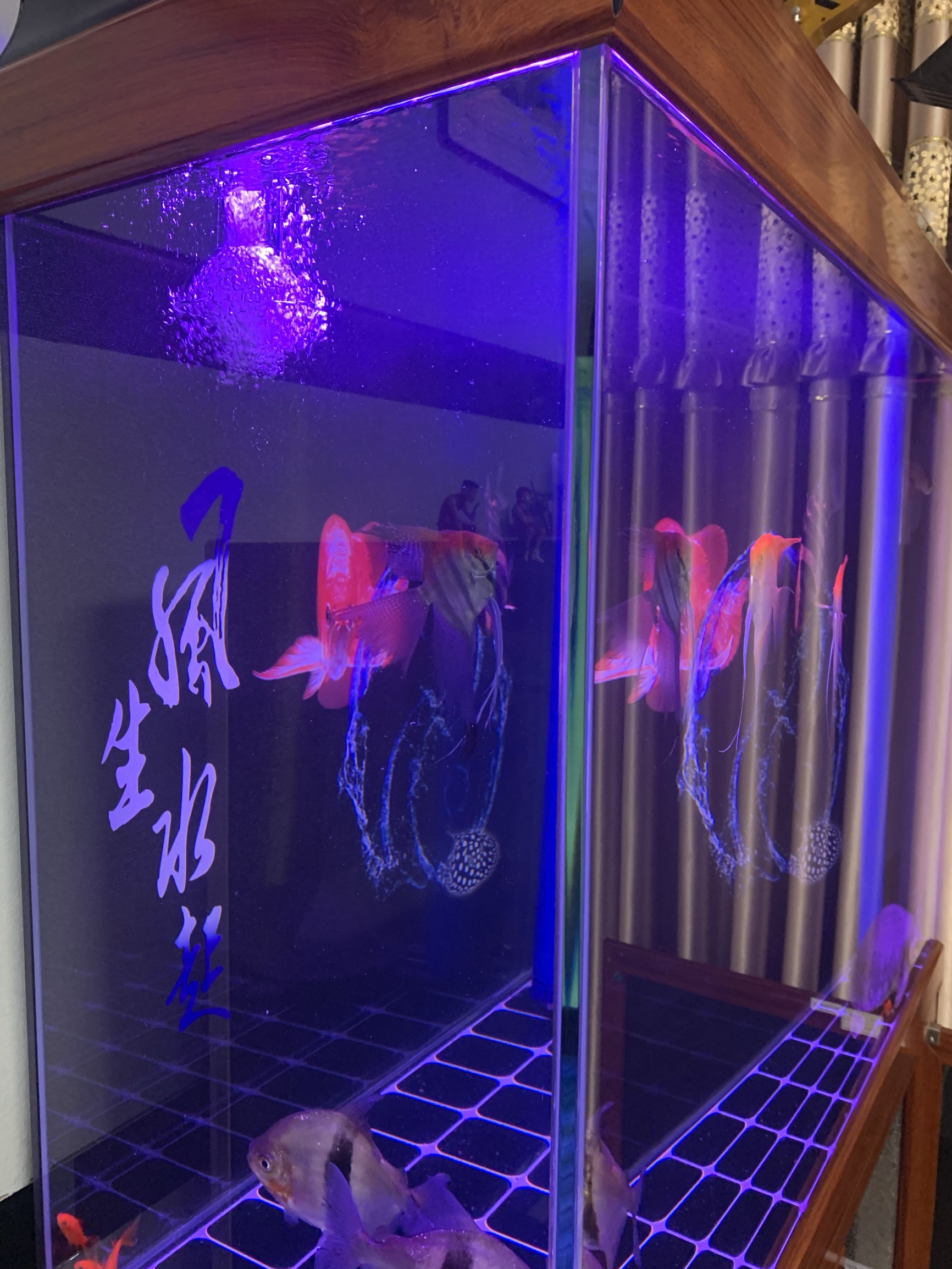 鱼缸出水口怎么既能出水又能增氧,制作鱼缸出水口增氧炮视频