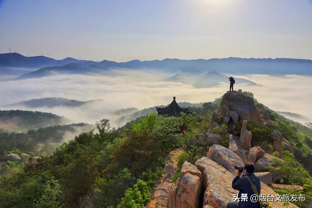 大山里映山红好美,映山红的美丽之处