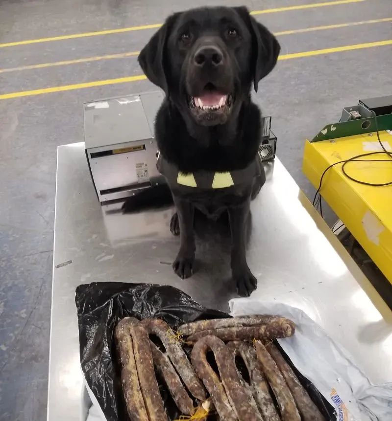 加拿大入境海关问题汇总,加拿大海关对入关携带食品的规定