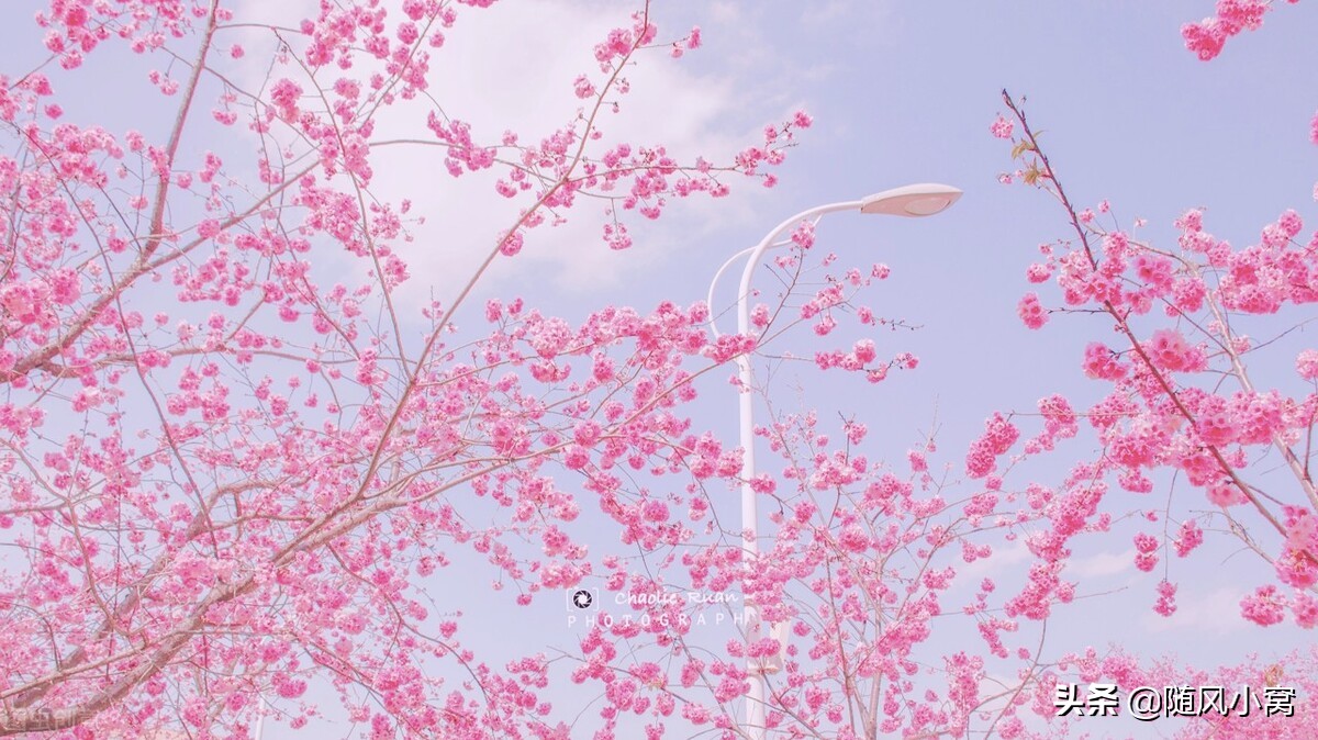 表哥跟我借300元,表哥借了200块提都不提了