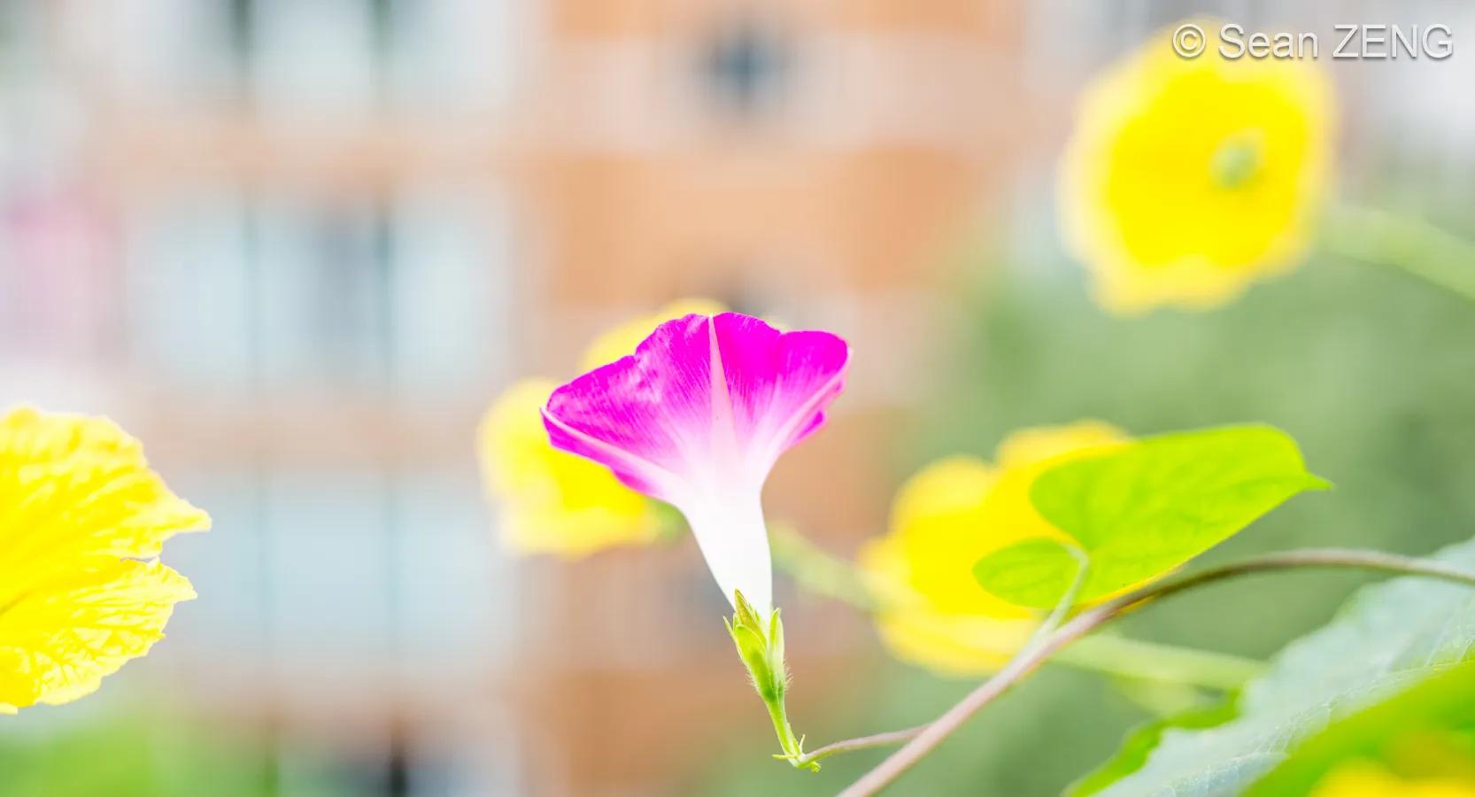 光阴不负的感悟,光阴不负你