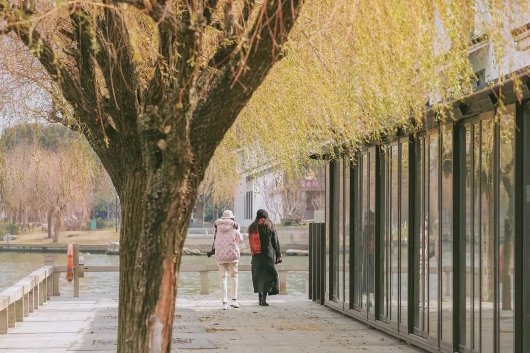 苏州古镇两天一夜旅游攻略,去苏州怎么玩一日游