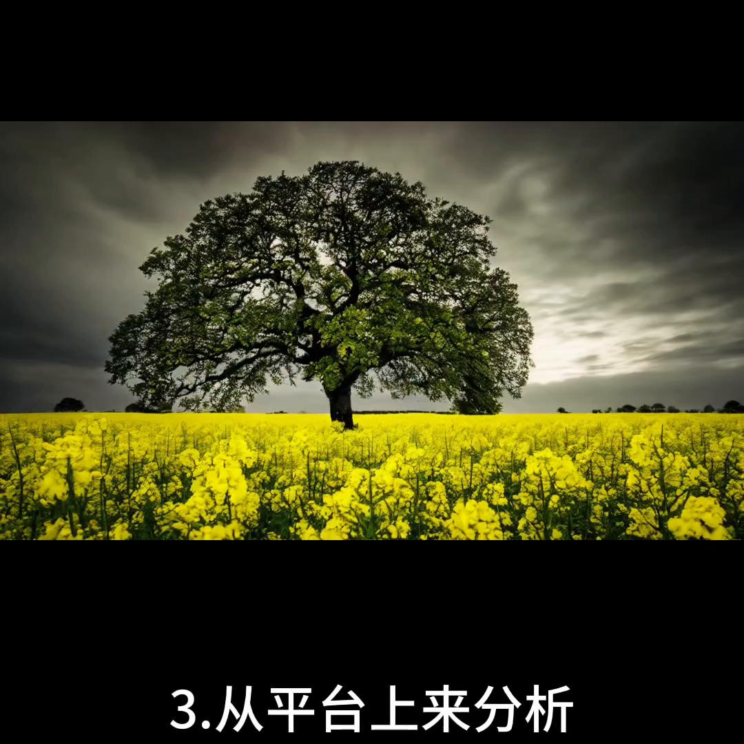 电商平台控价怎么做,如何解决电商控价