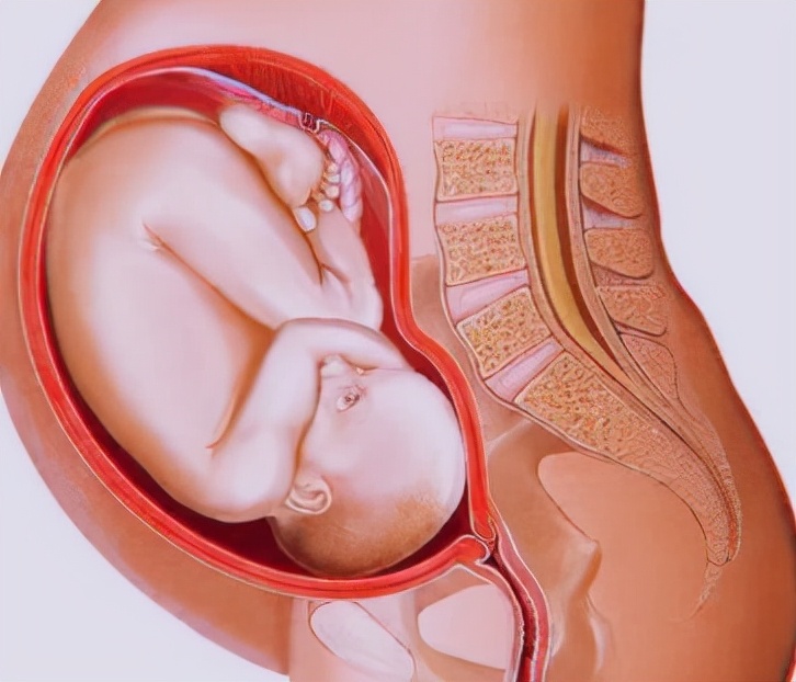 产后腰疼是不是盆骨没恢复好,产后腰痛是因为月子没坐好吗