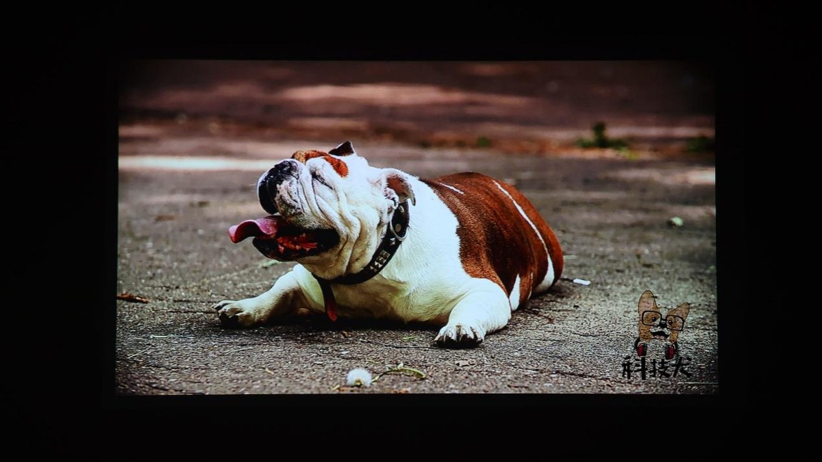 联想小新520投影仪观影效果,联想小新520投影仪测评