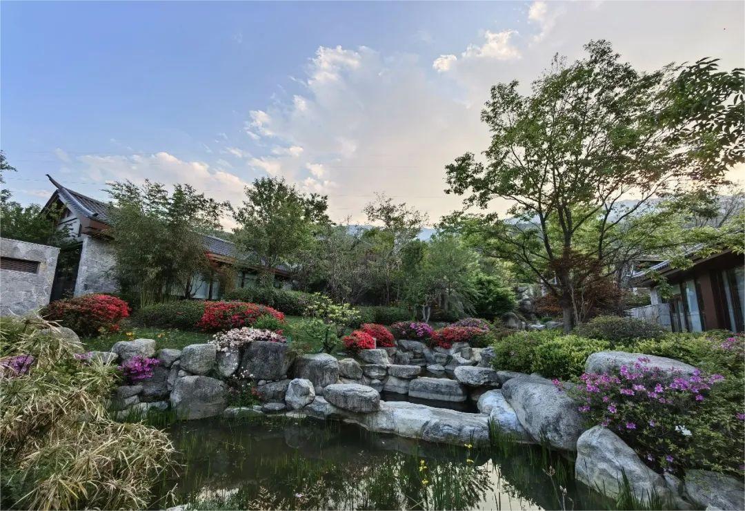 你们都说人多，我却找到一个人少又神仙的地方！