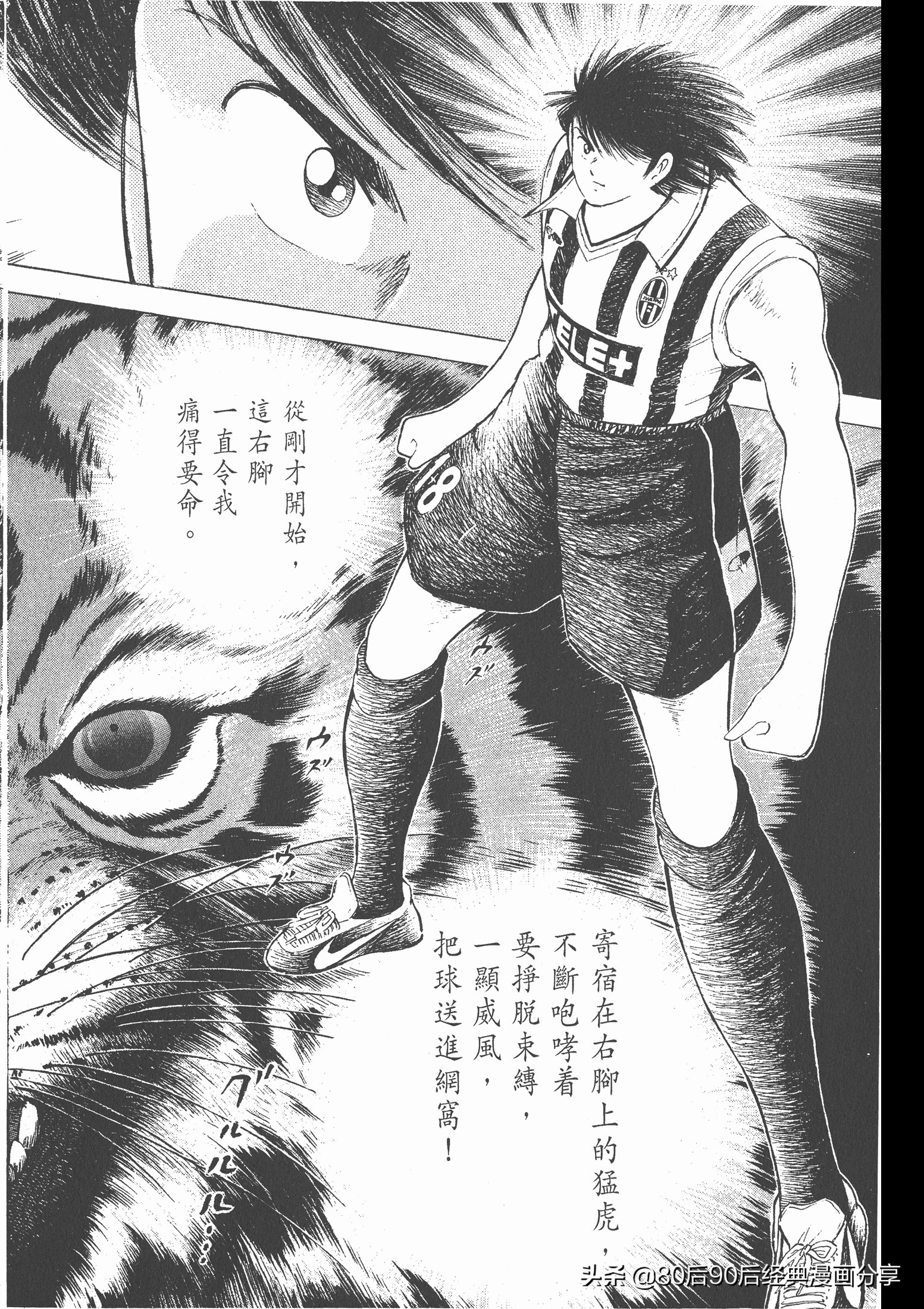 roadto2002,瓒崇悆灏忓皢roadto2002璁茶В