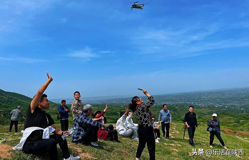 蓝田荞麦花海和高山草甸,西安荞麦花海旅游