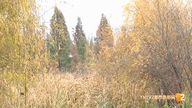 昆明周边人少景美的地方,昆明附近三四小时车程好去处