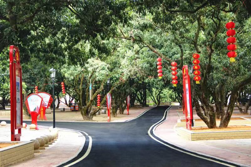 安溪县湖头镇：乡村蝶变满目新振兴路上阔步行