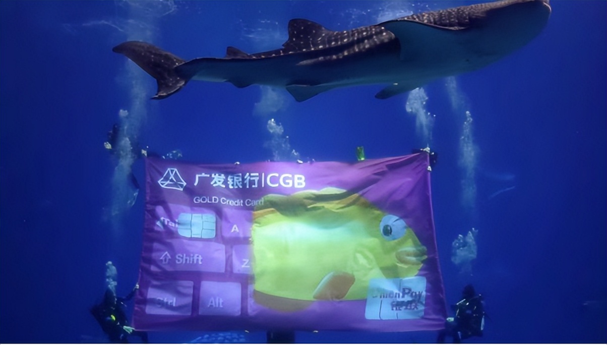 从入行到出圈,从出圈迈向出色