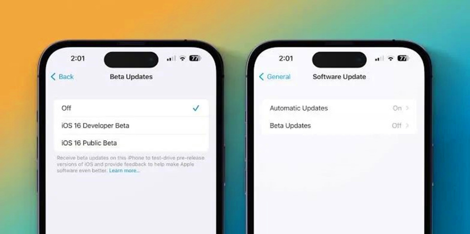ios16.6beta2怎么有两种版本,ios16.6beta2没收到推送怎么更新