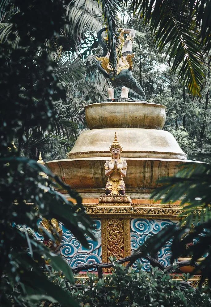 西双版纳旅游攻略两分钟视频,西双版纳旅游攻略摄影