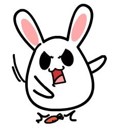 今年的315打假,打假维权365