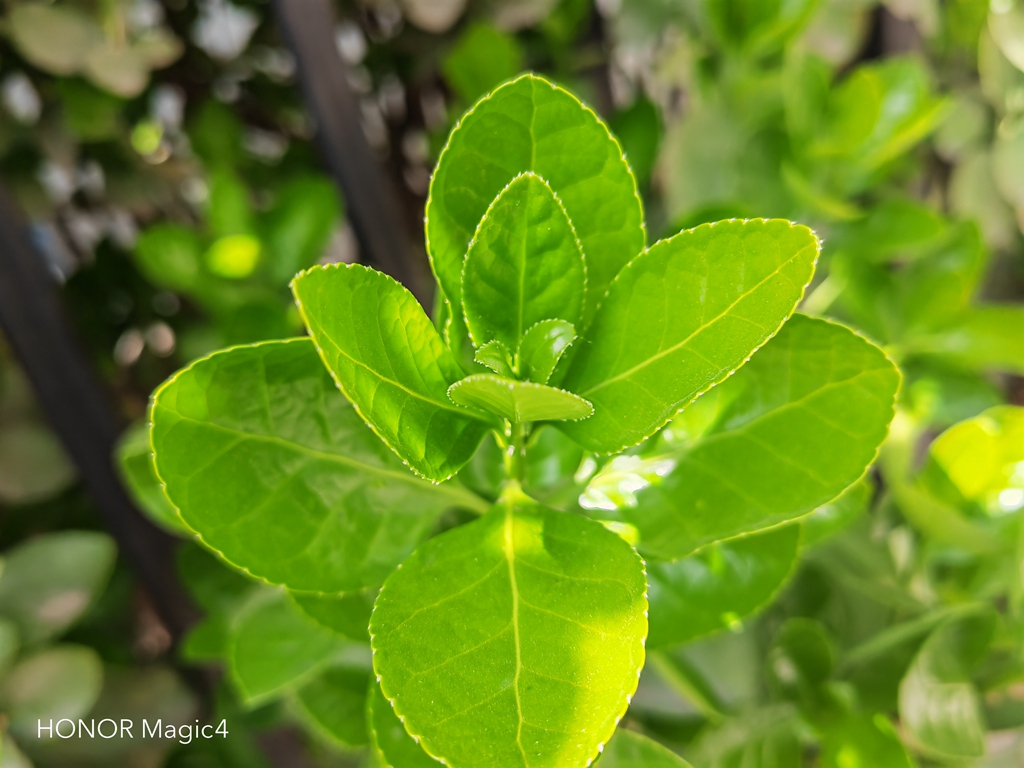 荣耀magic4和magic3有什么区别,荣耀magic4搭载骁龙8值得购买吗