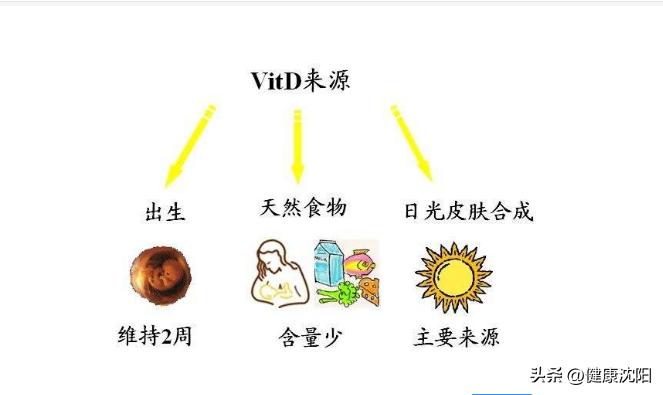 科普维生素d健康知识图片,健康科普关于维生素d你了解多少
