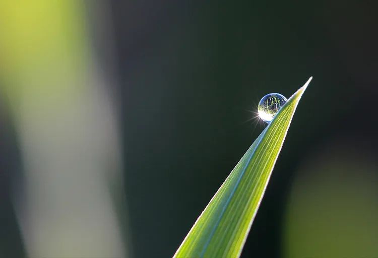 兔年取什么名字最好,兔年宝宝名字推荐