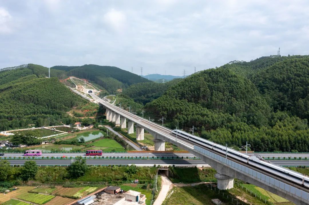 南宁到贵阳车票太难买,南宁东到贵阳多少钱