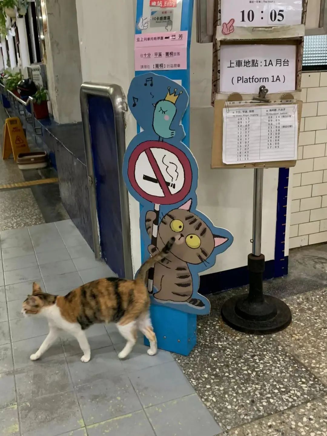 台湾地图为啥上热搜,台湾省地图热搜