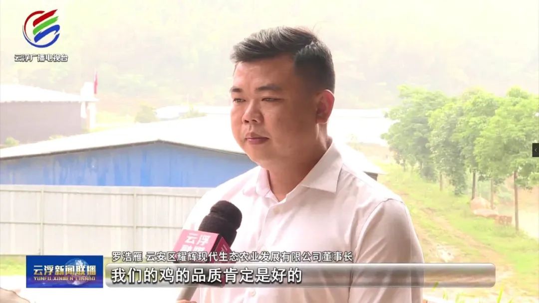 向上突围丨智慧养殖，云安这家企业养出生态“南药鸡”