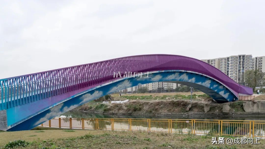 马家寺交通拥堵,双流马家寺现状