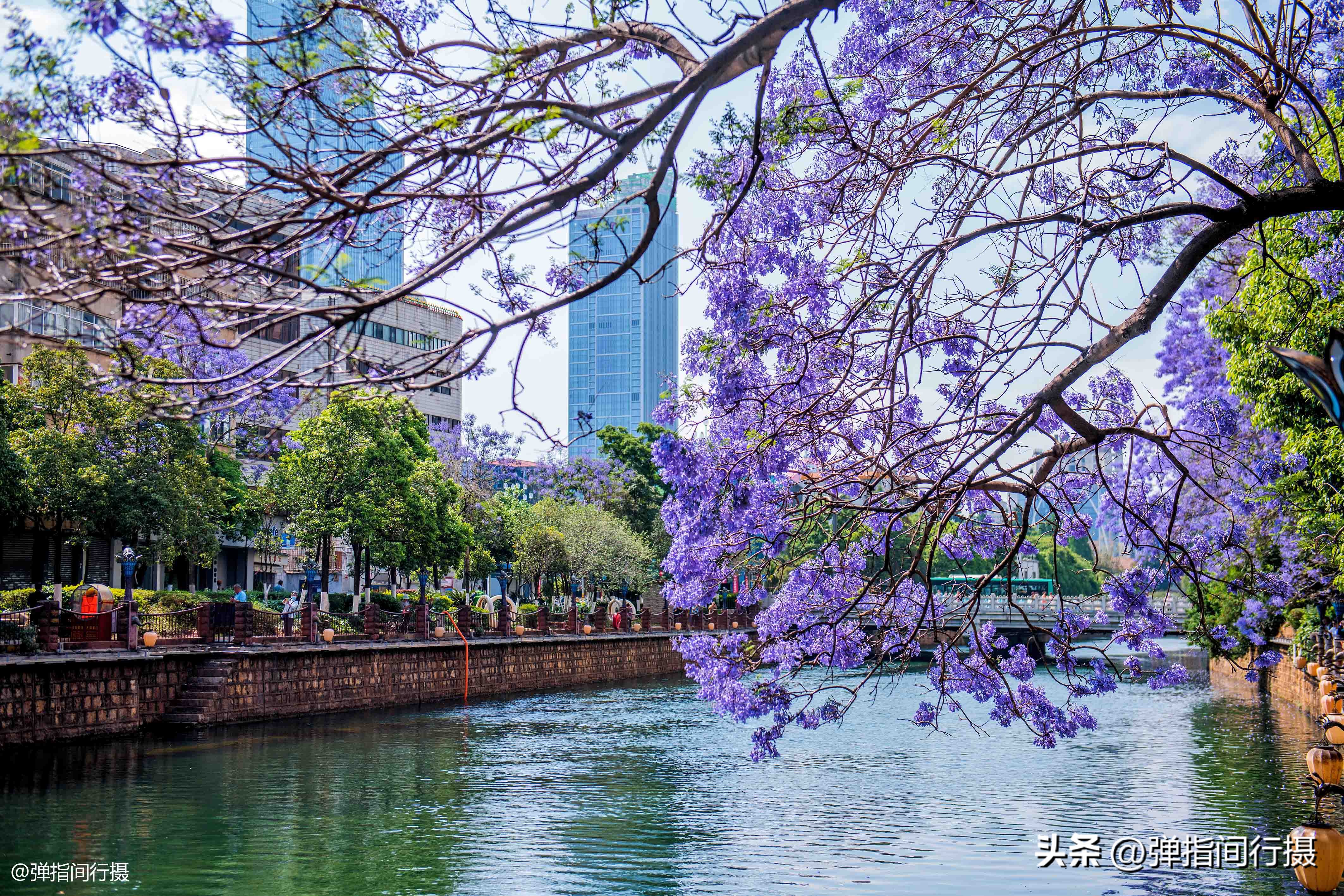 昆明春天假日游玩推荐特辑,昆明春天旅游攻略