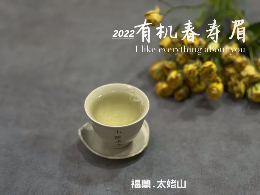 白茶里白牡丹和寿眉的区别,白茶的白牡丹和寿眉的区别在哪里