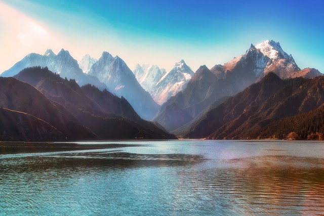 一只猫的生活,一只猫的日常生活