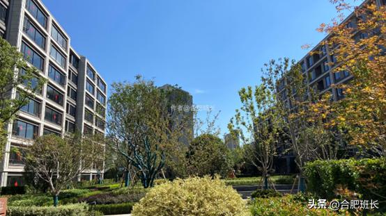 融创滨湖印属于哪个板块,融创滨湖印算豪宅吗