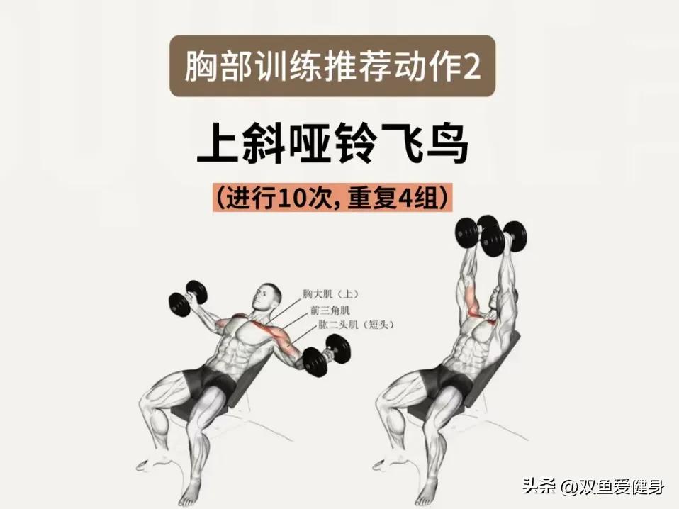 女生的胸可以练出来吗,女生哑铃练胸需要每天练吗